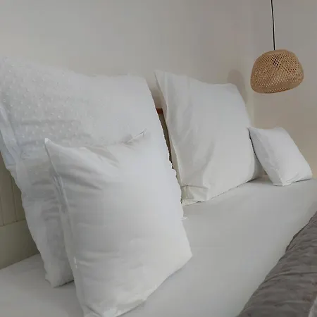 Hanna Vendeghaz-tallya *