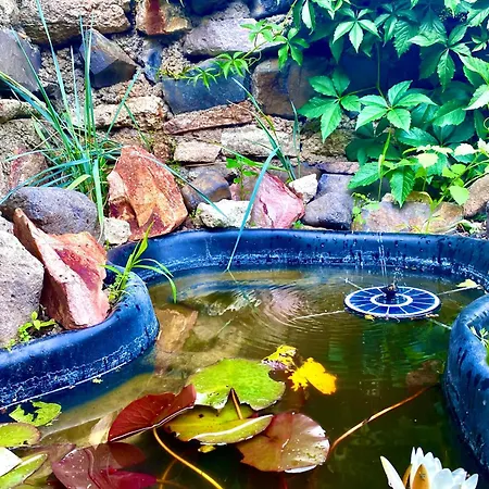 Hanna Vendeghaz-tallya Dom wakacyjny Tállya