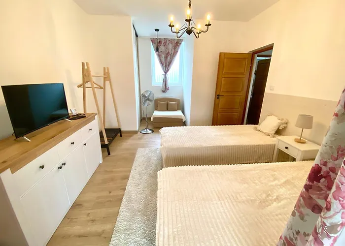 Hanna Vendeghaz-tallya *